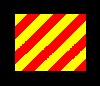 Code flag Y